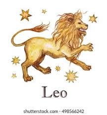 5_leo